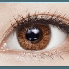 Anello No.1 Brown 13.7mm