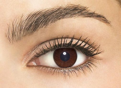 Atto Choco Toric 13.5mm Atto Choco Toric 13.5mm