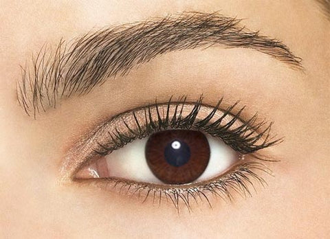 Atto Choco Toric 13.5mm Atto Choco Toric 13.5mm