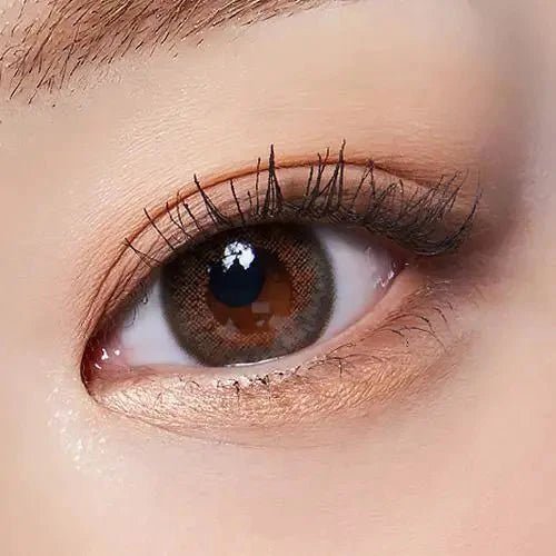 LensTown Back to Basic Avenue Brown — both eyes wearing the contact lenses
