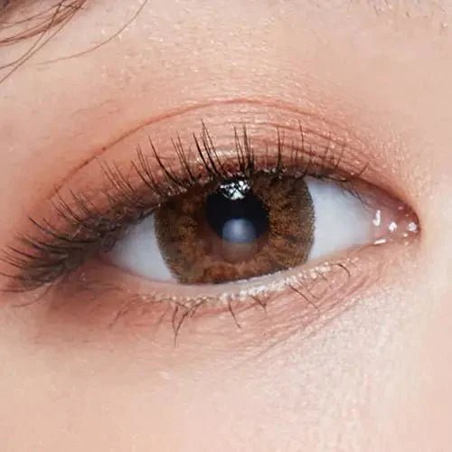 LensTown Back to Basic July Brown — single-eye close-up showing the contact lens appearance