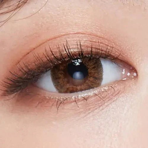 Back to Basic July Brown 13.6mm Back to Basic July Brown 13.6mm