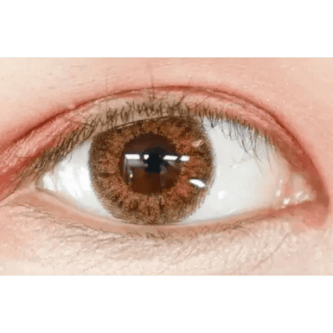 Back to Basic July Brown 13.6mm Back to Basic July Brown 13.6mm