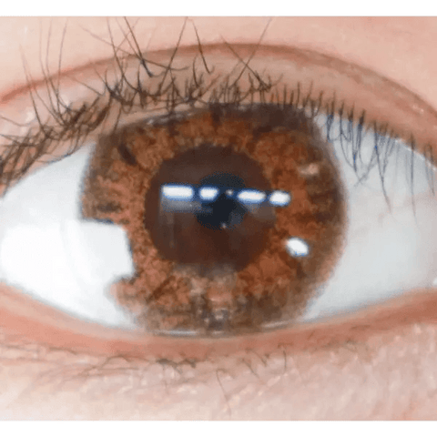Back to Basic July Brown 13.6mm Back to Basic July Brown 13.6mm