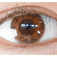 Back to Basic July Brown 13.6mm