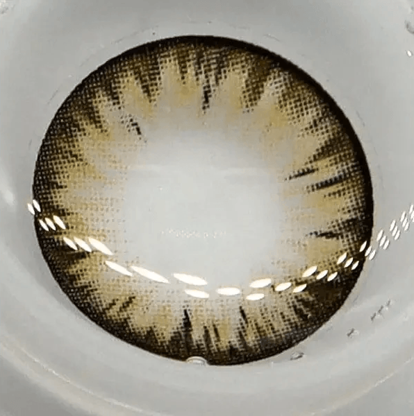 LensTown Back to Basic Macaron Brown — contact lens displayed in a blister pack