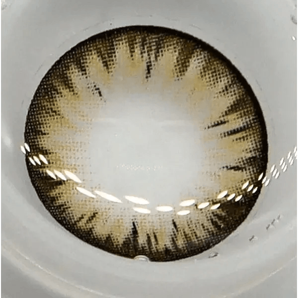 LensTown Back to Basic Macaron Brown — contact lens displayed in a blister pack