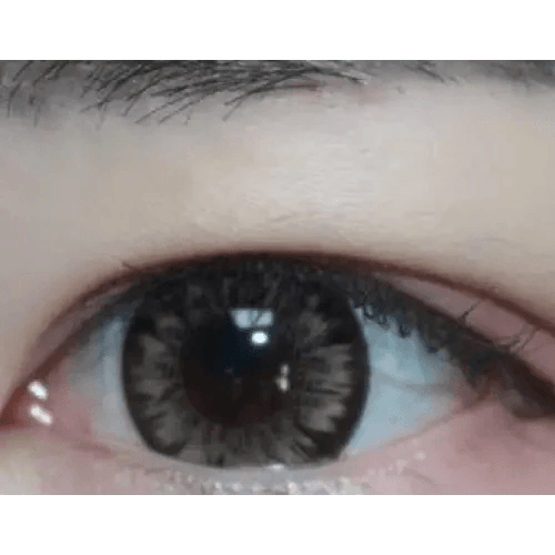 LensTown Back to Basic Macaron Brown — single-eye close-up showing the contact lens appearance