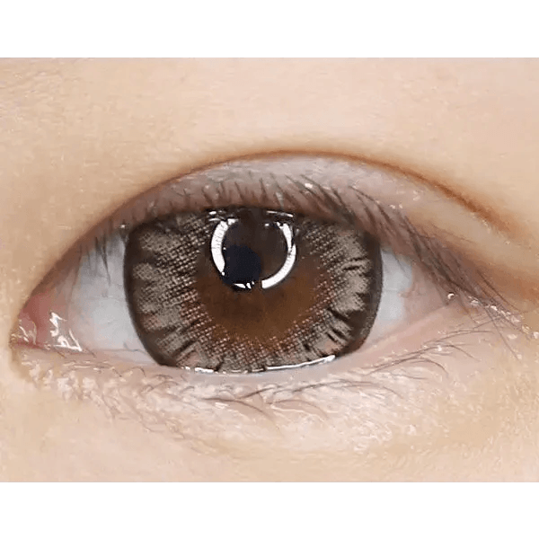 LensTown Back to Basic Macaron Brown — single-eye close-up showing the contact lens appearance