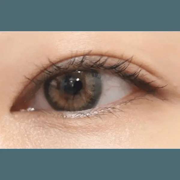 Beaulenty Brown 13.6mm Beaulenty Brown 13.6mm