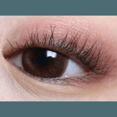Beaulenty Brown 13.6mm Beaulenty Brown 13.6mm