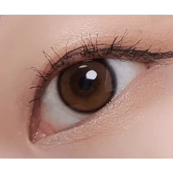 LensTown Beloved Royal Brown — single-eye close-up showing the contact lens appearance