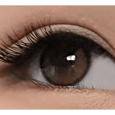Beloved Royal Brown 12.8mm Beloved Royal Brown 12.8mm