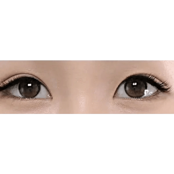 LensTown Beloved Royal Brown — both eyes wearing the contact lenses