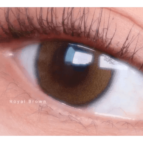 Beloved Royal Brown 12.8mm Beloved Royal Brown 12.8mm