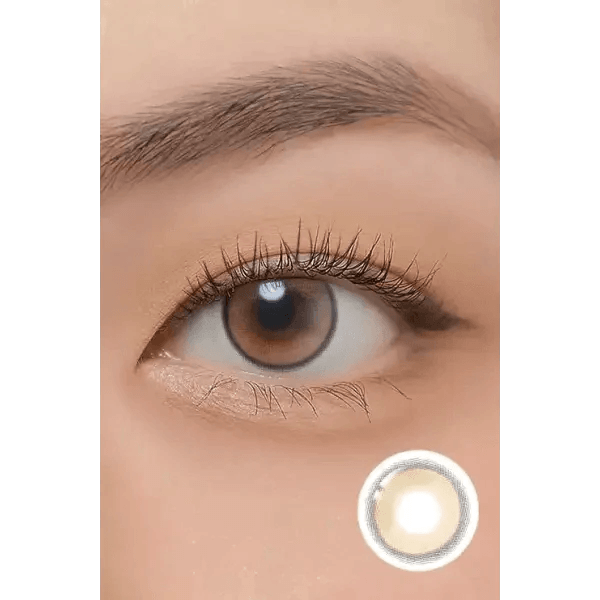 LensTown Beloved Royal Brown — single-eye close-up showing the contact lens appearance