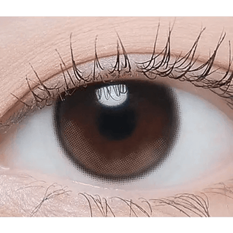 Beloved Serum Brown 12.8mm Beloved Serum Brown 12.8mm