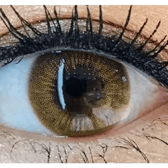 Betty 3 Color Brown 12.9mm