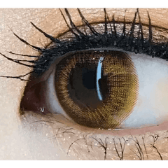 Betty 3 Color Brown 12.9mm