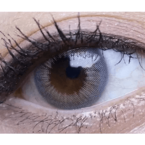 Betty 3 Color Gray 12.9mm
