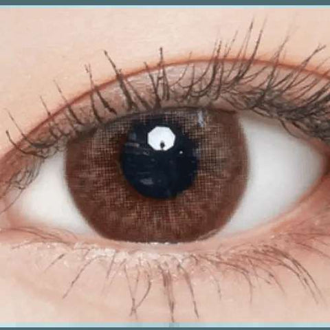 Big Class Brown 14mm Big Class Brown 14mm