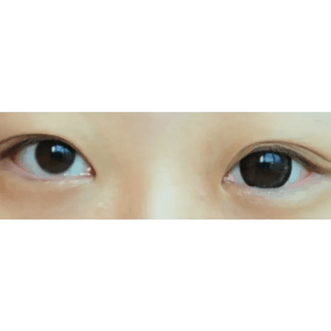 Big Grang Choco 14.5mm Big Grang Choco 14.5mm