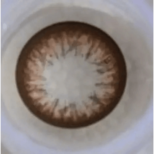 Olens Big Grang Grang Choco — close-up of the contact lens design