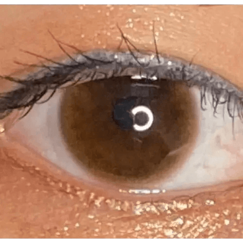 Bombi Brown
