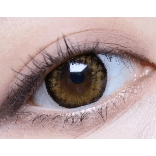 Brid Cat Brown 13.3mm Brid Cat Brown 13.3mm