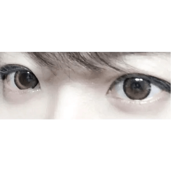 Brid Cat Brown 13.3mm Brid Cat Brown 13.3mm
