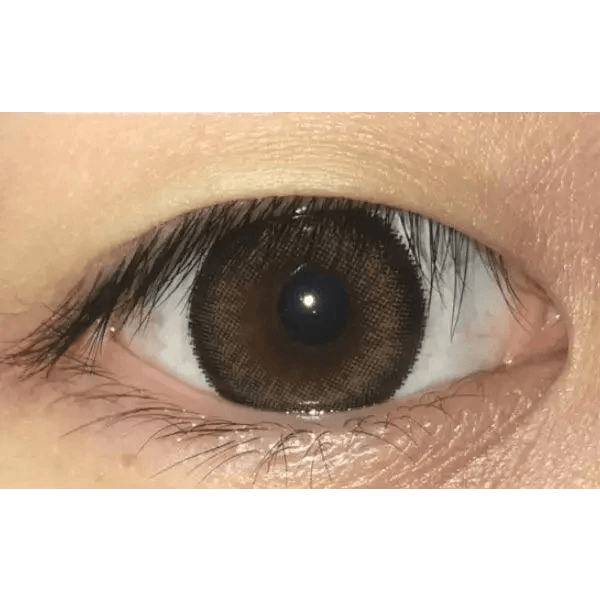 Brid Cat Brown 13.3mm Brid Cat Brown 13.3mm