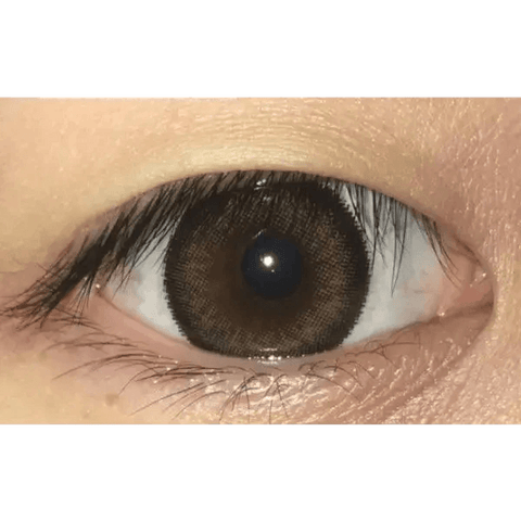 Brid Cat Brown 13.3mm Brid Cat Brown 13.3mm