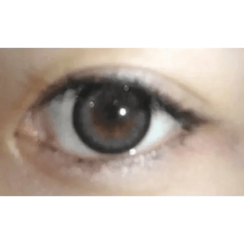 Brid Cat Gray 13.3mm Brid Cat Gray 13.3mm