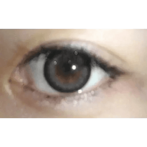 Brid Cat Gray 13.3mm Brid Cat Gray 13.3mm