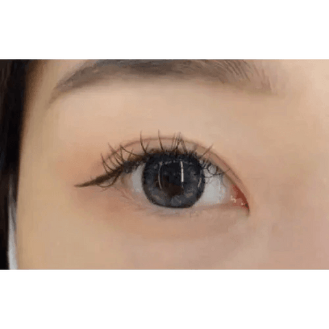 Brid Cat Gray 13.3mm