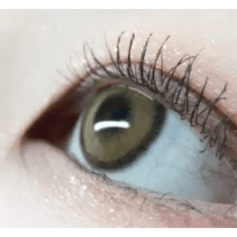 Canna Roze Beige Brown 13mm Canna Roze Beige Brown 13mm