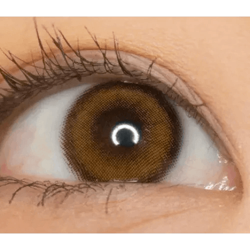 LensVery Celina Brown (10p) — single-eye close-up showing the contact lens appearance