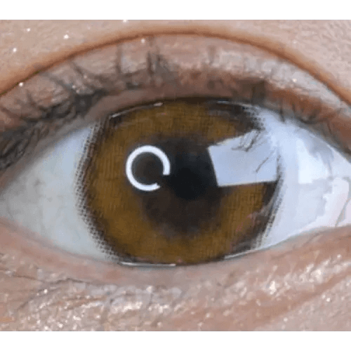 LensVery Celina Brown (10p) — single-eye close-up showing the contact lens appearance
