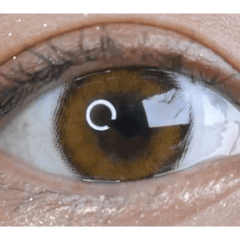 Celina Brown (10p) 13mm