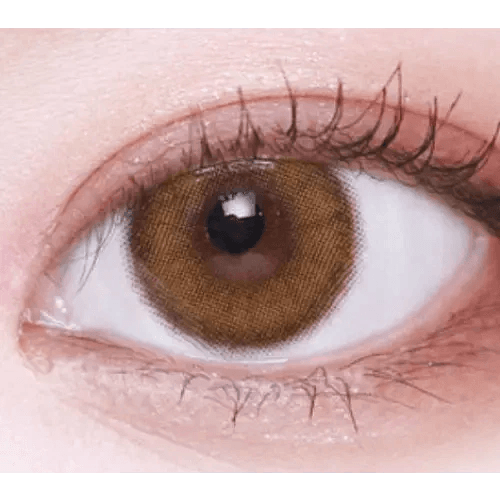 LensVery Celina Brown (10p) — single-eye close-up showing the contact lens appearance