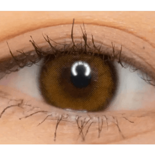 LensVery Celina Brown (10p) — single-eye close-up showing the contact lens appearance