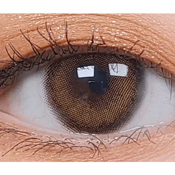 LensVery Celina Brown (10p) — single-eye close-up showing the contact lens appearance