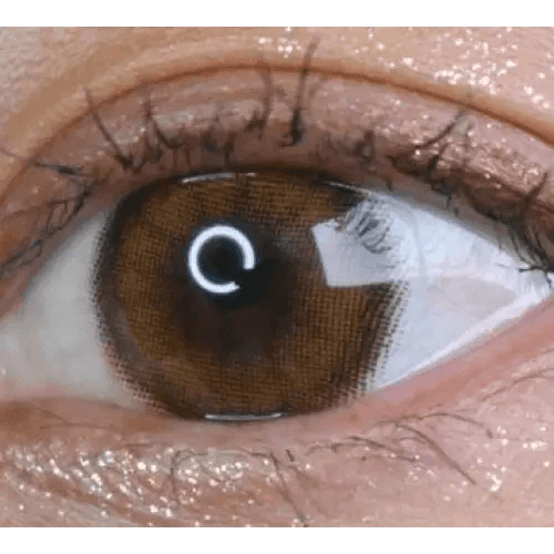 LensVery Celina Brown (10p) — single-eye close-up showing the contact lens appearance