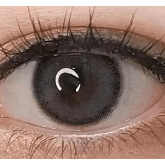 LensVery Celina Gray (10p) — single-eye close-up showing the contact lens appearance