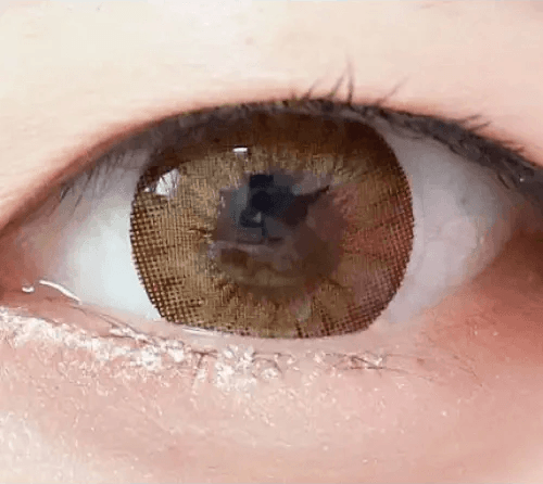 Olens Chandelier Brown — single-eye close-up showing the contact lens appearance