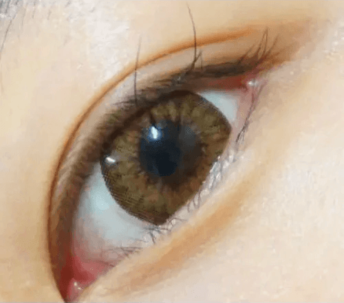 Olens Chandelier Brown — single-eye close-up showing the contact lens appearance