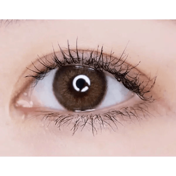 LensTown Choco Pong Edge Milk Choco — single-eye close-up showing the contact lens appearance