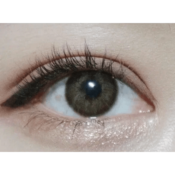 LensTown Choco Pong Edge Milk Choco — single-eye close-up showing the contact lens appearance