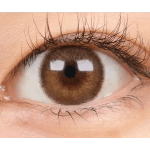 LensTown Choco Pong Edge Milk Choco — single-eye close-up showing the contact lens appearance
