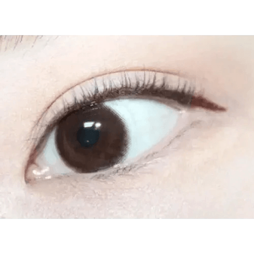 LensTown Chocopong Dark Choco — single-eye close-up showing the contact lens appearance